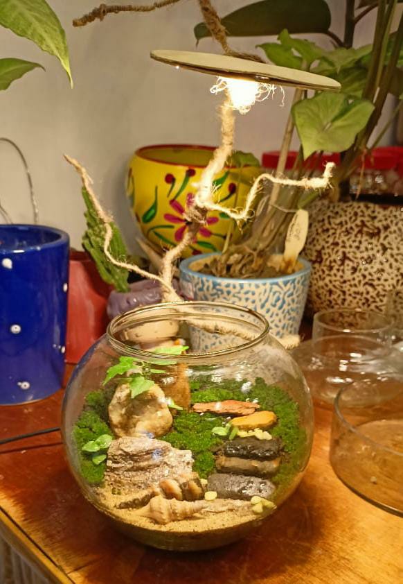 Terrarium